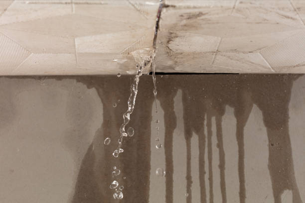 Professional Water Damage Repair technician working in Arlington Heights, WA